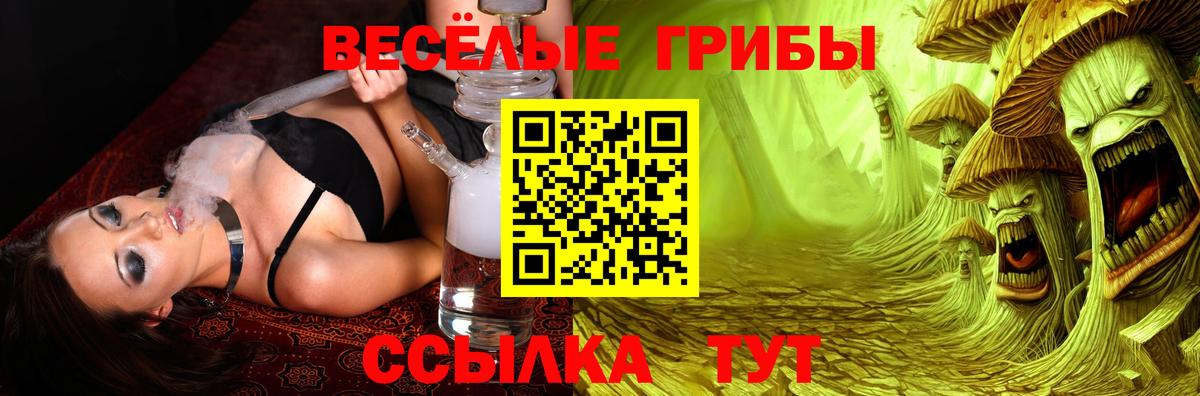 Галлюциногенные грибы Magic Shrooms  Вход с VPN  Мценск  Галлюциногенные грибы прущие грибы 