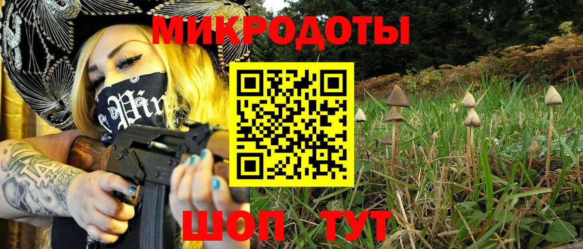 Псилоцибиновые грибы MAGIC MUSHROOMS Мценск
